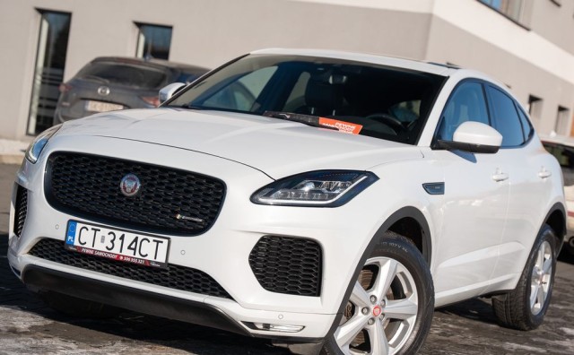 jaguar