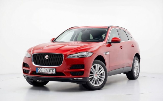 jaguar