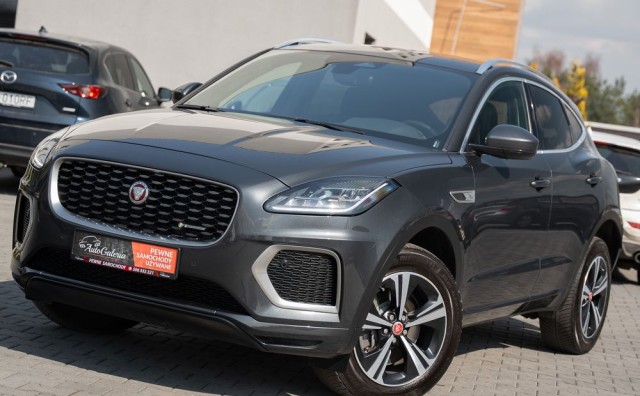 jaguar