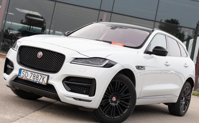 jaguar