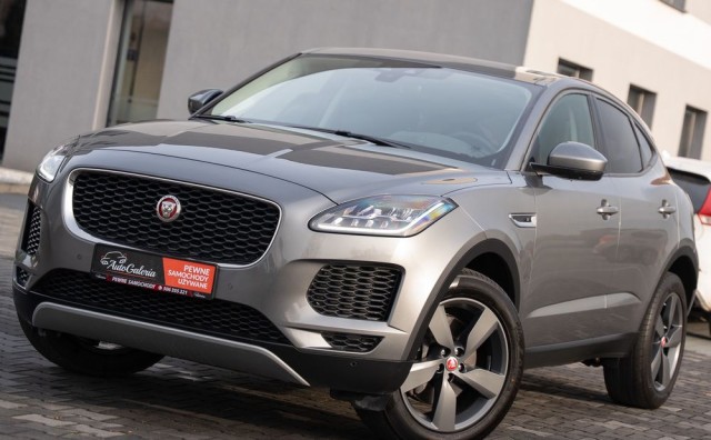 jaguar