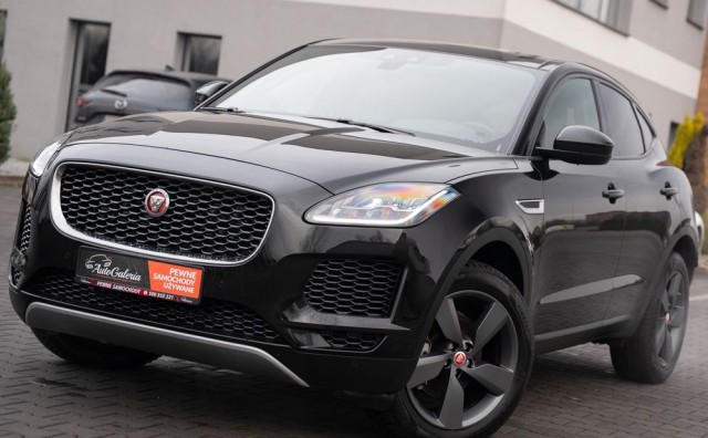 jaguar